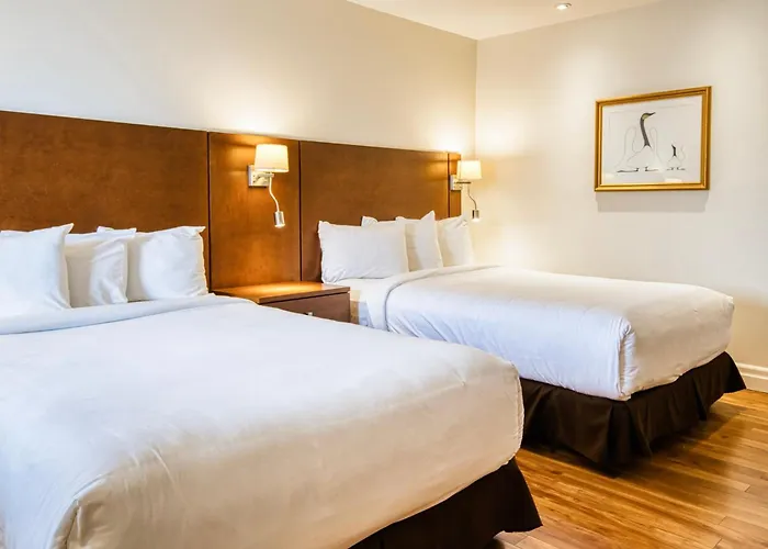 Motel Mistral