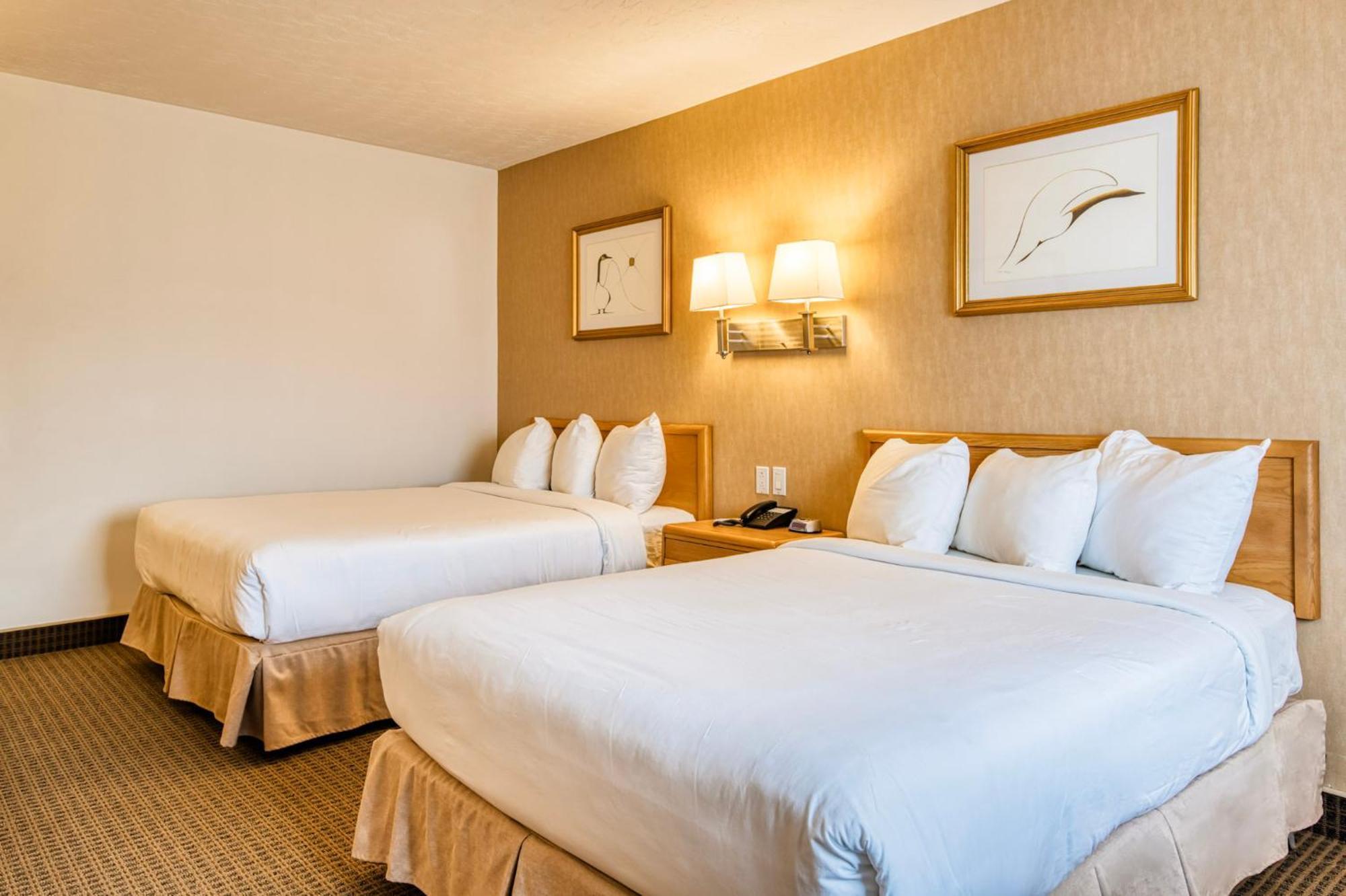 Motel Mistral