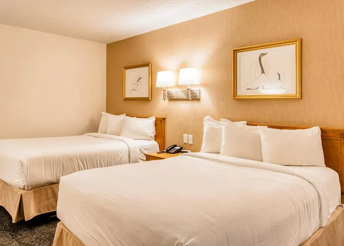 Motel Mistral